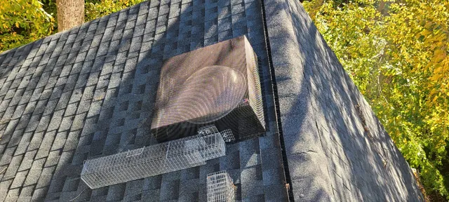 Exclusion screening installed over a roof vent — actual job photo