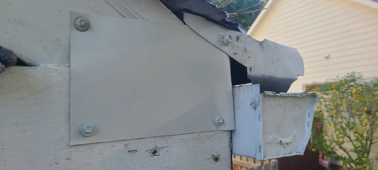 Roofline and soffit area of a home — a common honey bee entry point